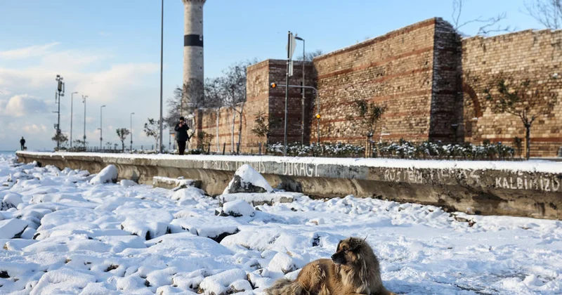 Türkiyədə güclü Sibir şaxtaları gözlənilir