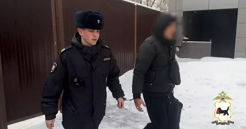 В России задержан иностранный преступник, разыскиваемый Интерполом