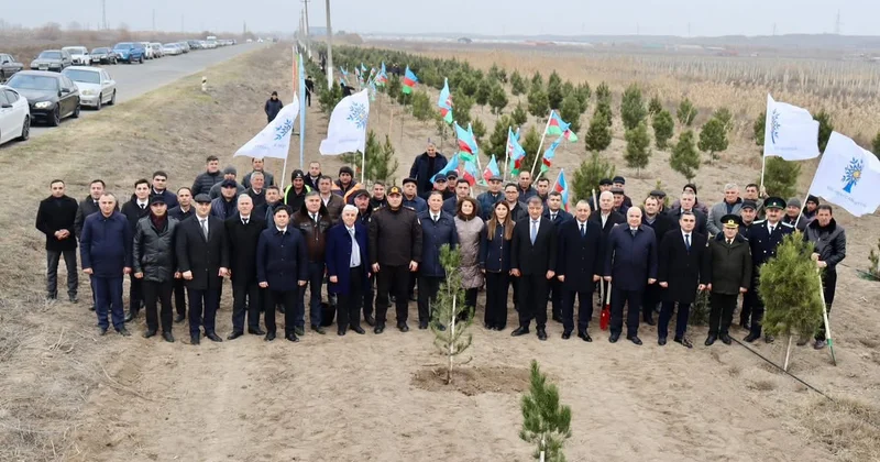 Yaşıl Samux: Suverenlik İlində təbiətə qayğı