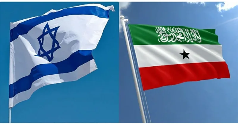 Главы МИД Сомали, Египта, Турции и Джибути осудили решение Израиля по Сомалиленду