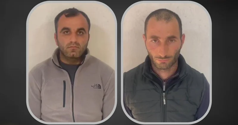 Ağsuda mal qara oğurladılar