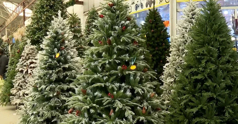 Bayram yolkaları və bəzək əşyaları niyə bahadır? AÇIQLAMA