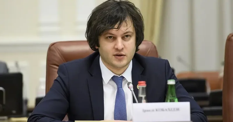 Gürcüstanla mənfi münasibətləri davam etdirmək Aİ nin maraqlarına uyğun deyil