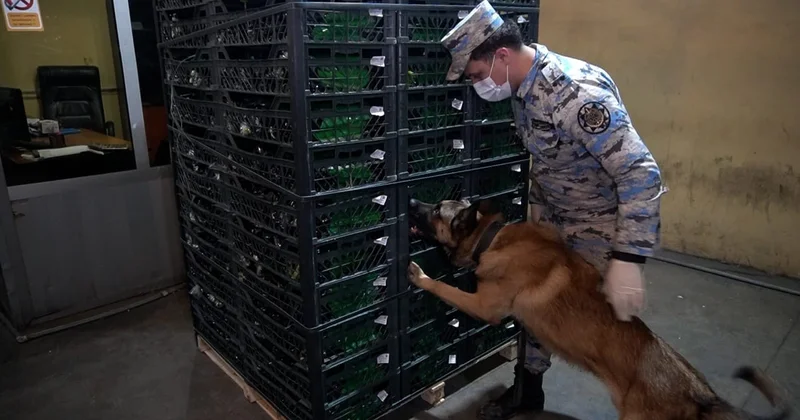 Азербайджан пресек транзит крупной партии наркотиков из Ирана в Россию ФОТО