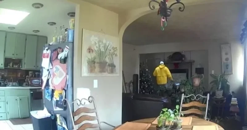 ABŞ də azyaşlı oğlan məşhur filmin qəhrəmanı kimi evini qoruyub