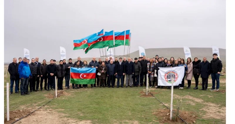 Vəkil Günü peşə bayramına həsr olunmuş ağacəkmə aksiyası keçirilib FOTOLAR