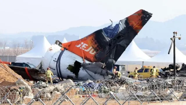 Qəzaya uğrayan Jeju Air təyyarəsinin mühərriklərində quş tükləri tapılıb