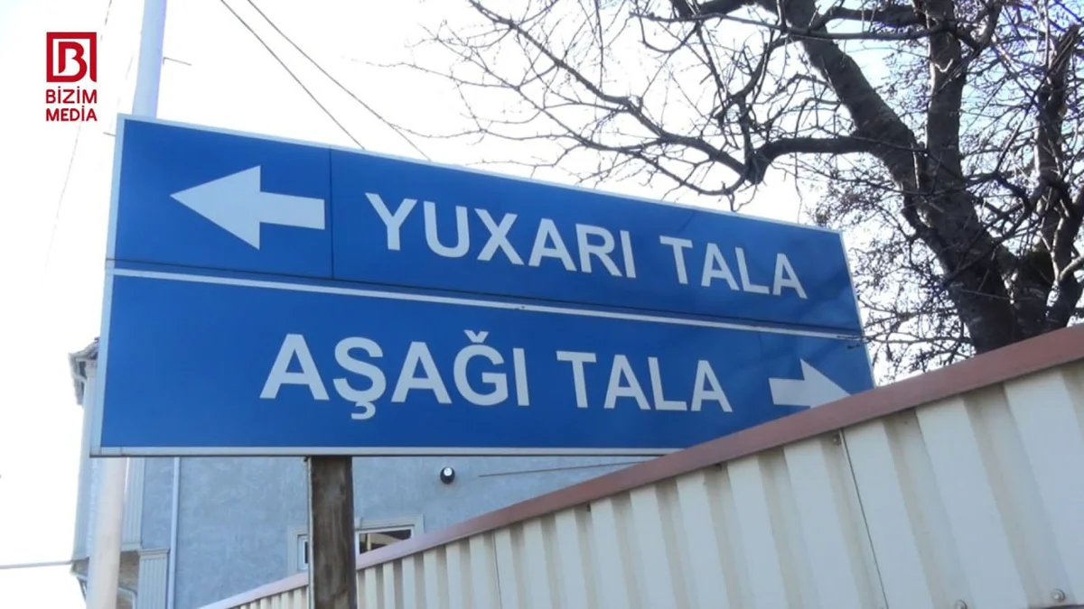 Yuxarı Talanın Qara və Sarı DƏRDİ FOTO