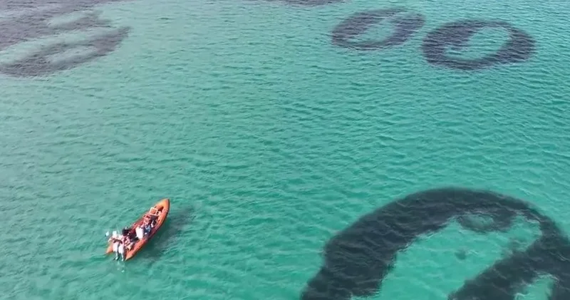 У берегов Шотландии впервые за столетие обнаружили волшебные круги