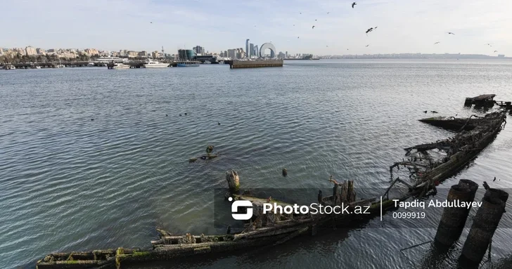 Али Асадов: Загрязнение Бакинской бухты требует срочных экологических мер
