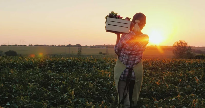 Ən çətin peşələr: Vacib, amma çox əmək tələb edən işlər TOP 10