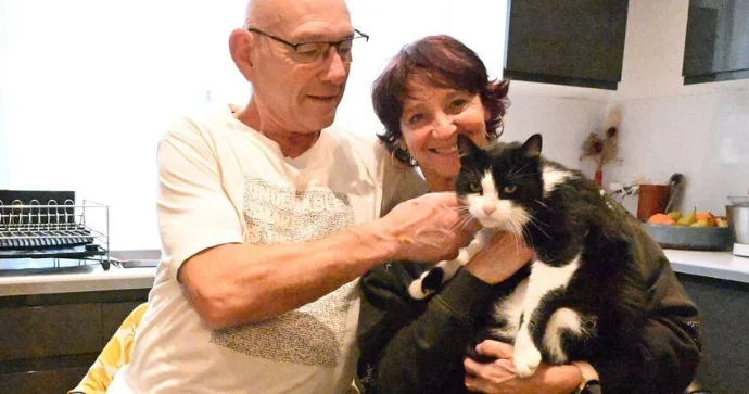 Yanacaqdoldurma məntəqəsində unudulan pişik evə qayıtmaq üçün 250 kilometr qət etdi