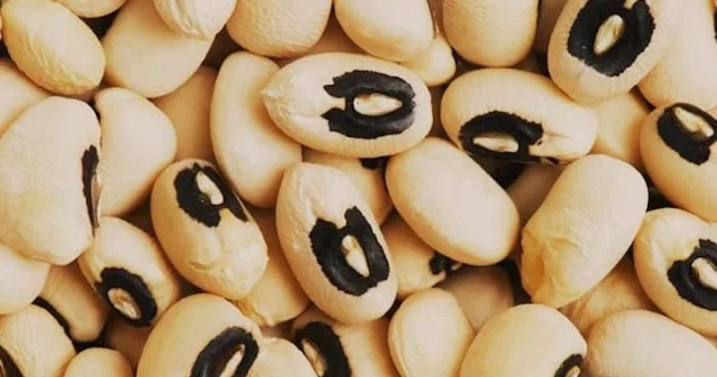 Myanma və Madaqaskardan Azərbaycana qaragöz lobya gətirilir Qiymətlər