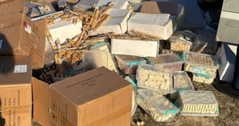 Azərbaycana gətirilən qurudulmuş yemiş və halvalarda göbələk kifi aşkarlanıb