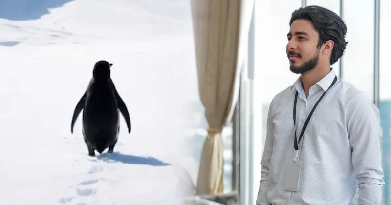 Pinqvin trendi: Brendlər hər gündəmə qoşulmalı deyil AÇIQLAMA