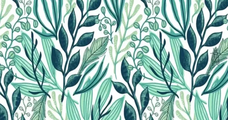 Vizual TAPMACA: Şəkildəki kəpənəyi 8 saniyədə tapın