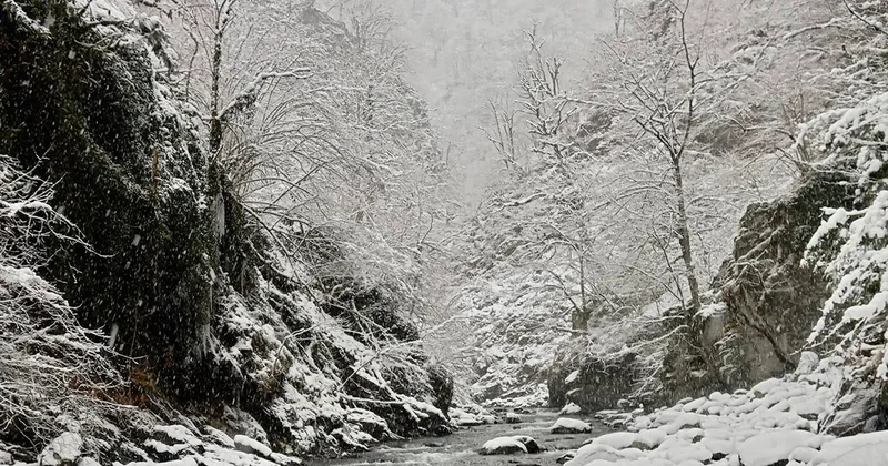 Zaqatalanı görməyin əsl zamanıdır... Fotolar