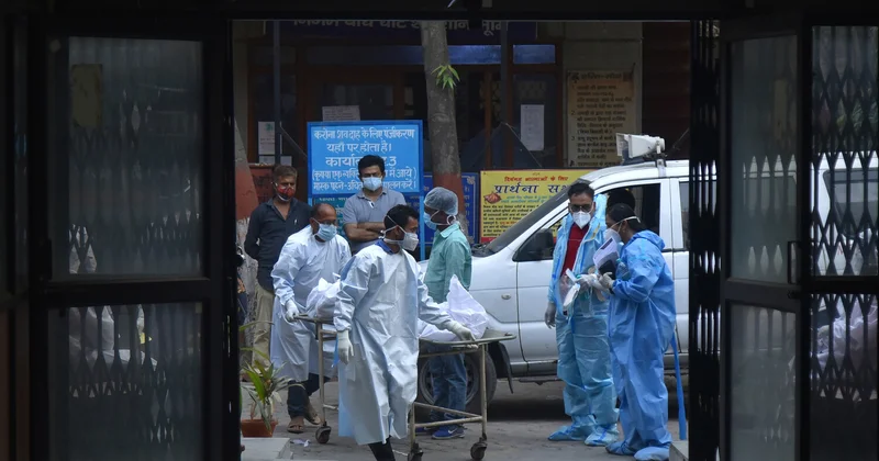 Минздрав Вьетнама приказал усилить эпидемиологический контроль из за вируса Нипах