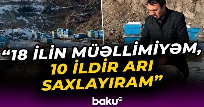 Arıçılıqla məşğul olan müəllim: Kəlbəcərdəki balın artımı buna görə çoxdur