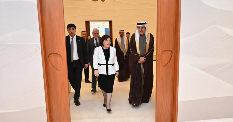 Председатель Милли Меджлиса прибыла с рабочим визитом в ОАЭ ФОТО