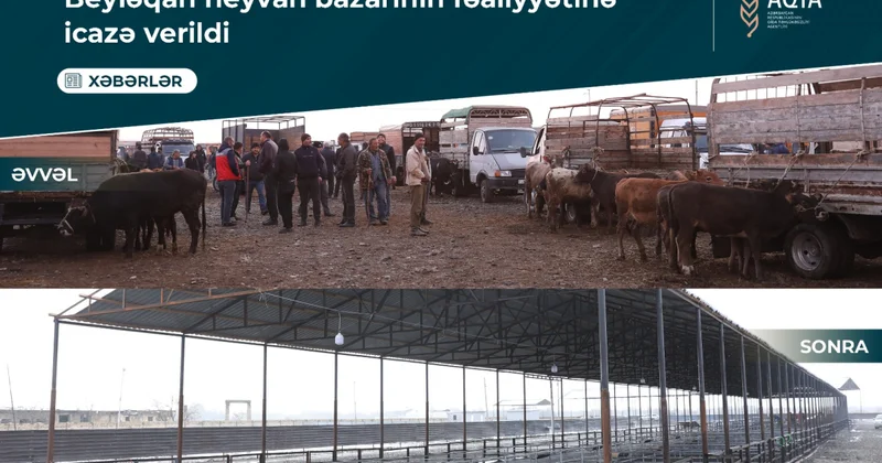 Новый скотный рынок в Бейлагане фото; видео