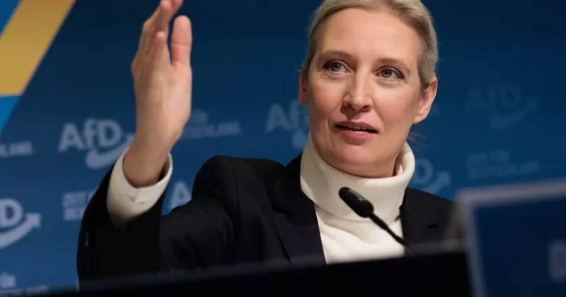 Немецкие ультраправые потребуют от Киева возвращения миллиардов евро и компенсации