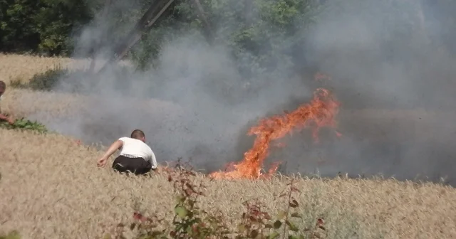 Плодородие в огне