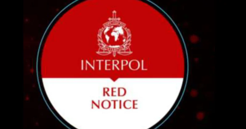 İnterpolun keçirdiyi əməliyyatlarda 3700 nəfər saxlanılıb