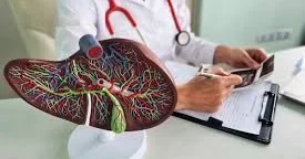 İmmuniteti cavanlaşdıran orqan