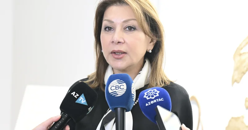 Aytən Qəhrəman: Gənclərimizə tolerantlığın, insan hüquqlarına hörmətin vacibliyini çatdırırıq