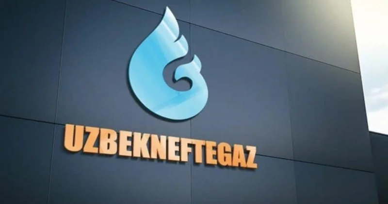 Узбекнефтегаз самостоятельно финансирует развитие 21 месторождения в Газлийском регионе