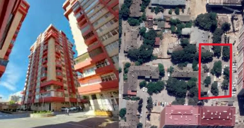 Orbita MTK ağacları kəsib, qaraj tikir: Cəza tətbiq olunmalıdır AÇIQLAMA