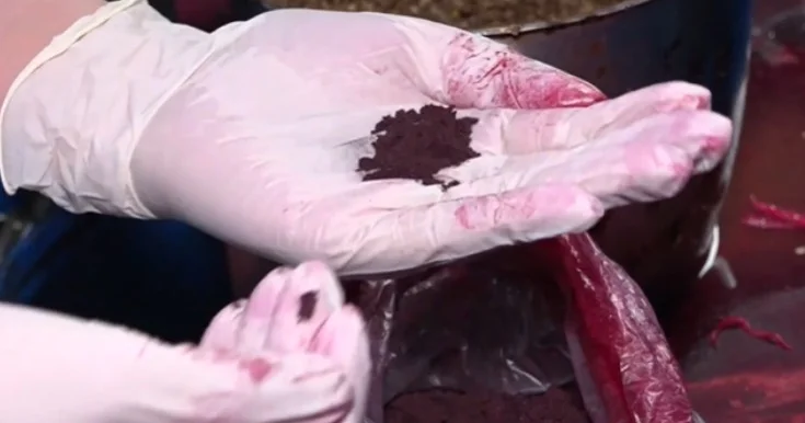 Kələm turşusunun rəngi süni şəkildə dəyişdirilir? Araşdırma başladı