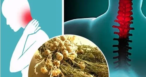 Üzərliyin nəzərə faydasına inanmaq, dərmanın xəstəliyə faydasına inanmaq kimidir AÇIQLAMA