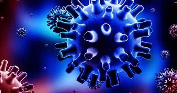 Опасный вирус Нипах в Индии: ВОЗ оценила риски распространения