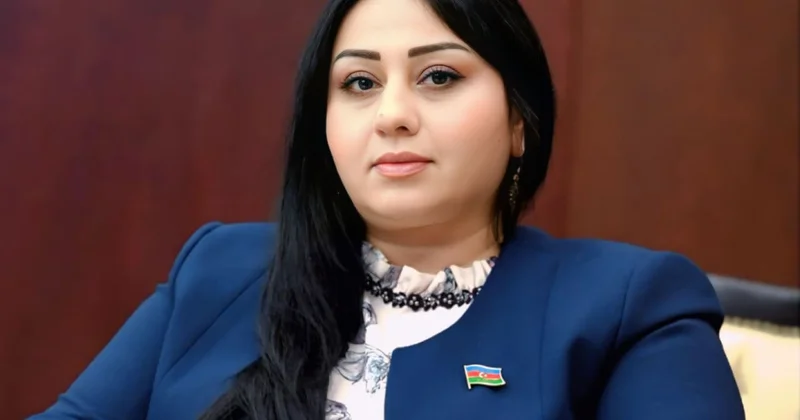 Sülh Şurasının təsisçi üzvlərindən biri olması Azərbaycanın beynəlxalq sülh prosesində aktiv rolunu göstərir Rəy