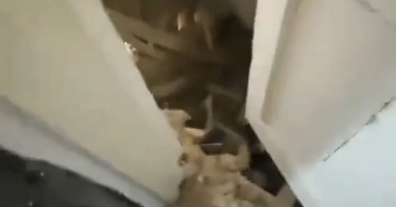 В центре Баку на соседей обрушился потолок видео