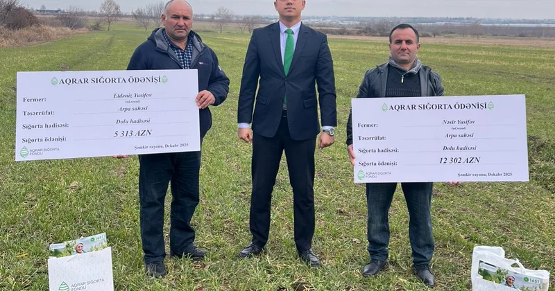 Страховщики при деле