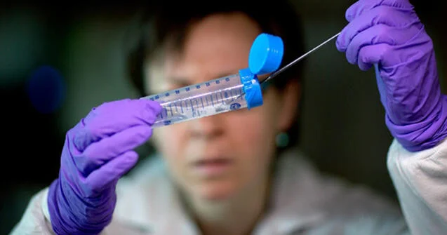 Peyvəndi və müalicəsi olmayan virus yayılır