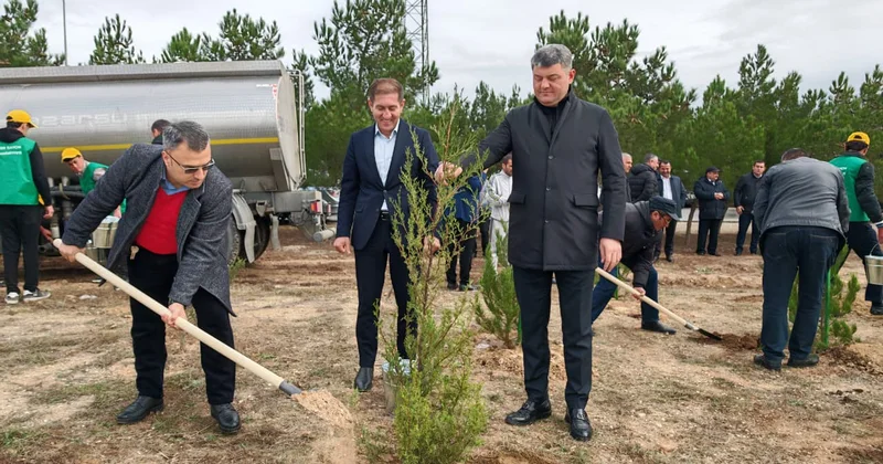 Yaşıl Bakıya doğru: “Sökülən binaların yerində parkların salınması təqdirəlayiqdir”