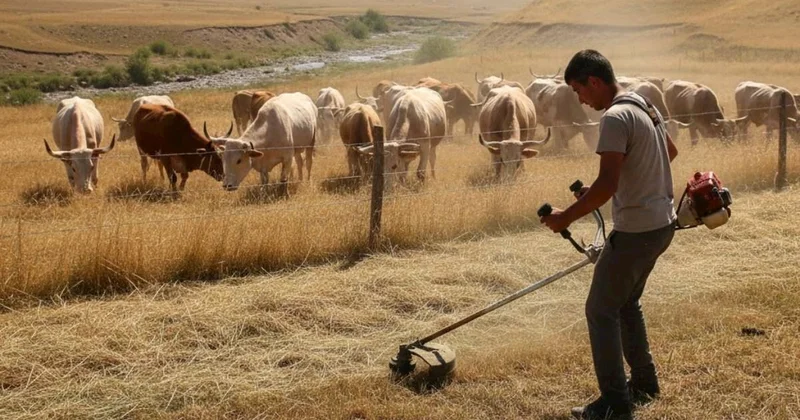 Kənddə ot biçən tələbə adam öldürdü Qoy heyvanlar sənin yerini yesin
