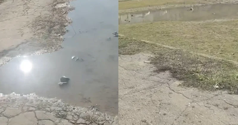 Yeni Günəşli qəsəbəsində 278 saylı məktəbin yararsız hala düşən stadionu NİYƏ TƏMİR OLUNMUR?