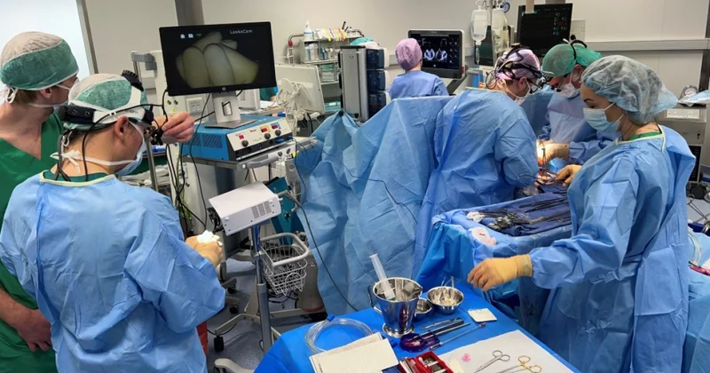 Какие органы пересаживали от посмертных доноров в Азербайджане?