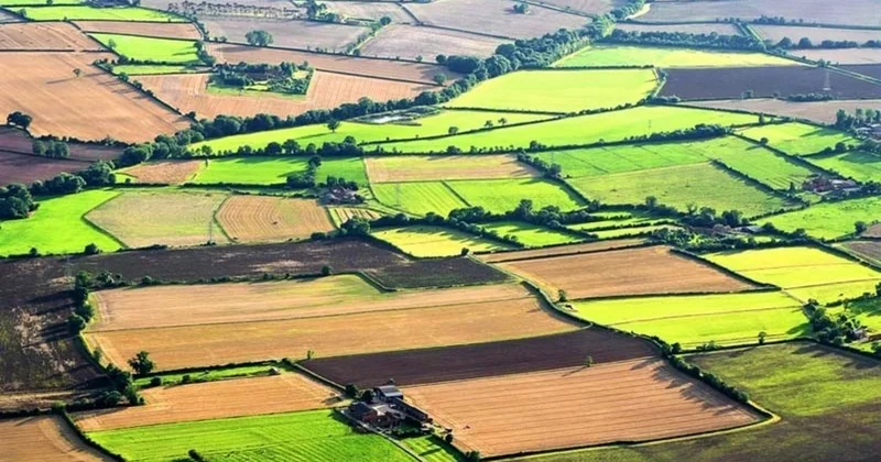 Gəncə və Şəmkirdə torpaq sahələrinin kateqoriyası dəyişdirilib