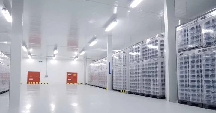 Şirkət yeni soyuducu anbarın tikintisinə başlayıb