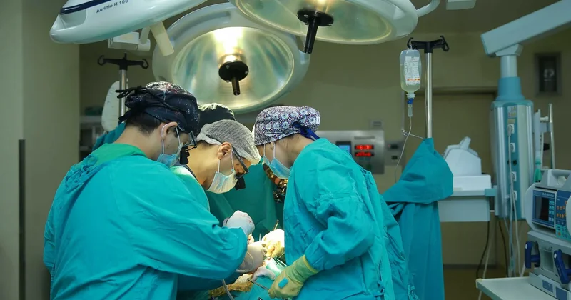 Ötən il Azərbaycanda 10 a yaxın meyitdən 50 dən çox transplantasiya həyata keçirilib