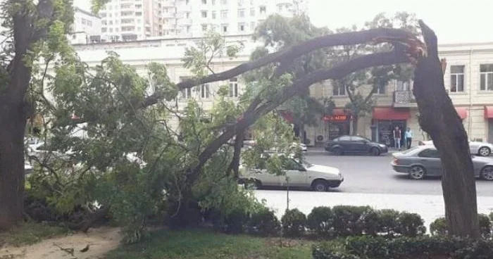 Мина замедленного действия