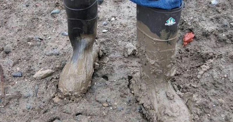 Kəndimizin yoluna görə bizə qız verən yoxdur