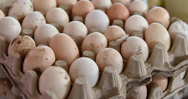 Marketlərin HİYLƏSİ Kənd yumurtası adı altında TƏHLÜKƏ satılır