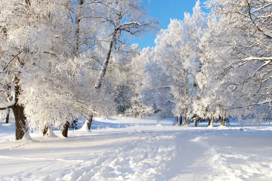 Hava şəraiti ilə bağlı XƏBƏRDARLIQ RƏSMİ